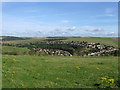 Looking Down on Bevendean