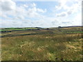 View south from Brown Hill