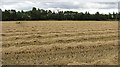 Harvested field