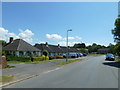 Bungalows in Hillson Drive