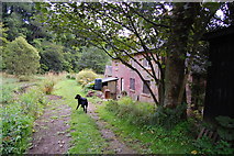 SJ9563 : Dane Valley Way near Hammond's Hole by Trevor Harris