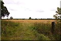 Bridleway by the field