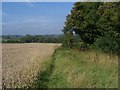 Footpath To Barton St David Church