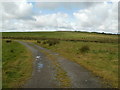 Track through grazing land near Coelbren