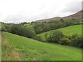 The Ghann Valley from the Lower Knockbarragh Road