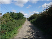 SK8268 : The Trent Valley Way on Green lane by Tim Heaton