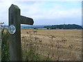 Footpath by West Worldham