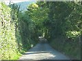 Lane south from Upper Lye