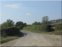 SO3464 : Lane at the entrance to Letchmoor Farm by Peter Whatley