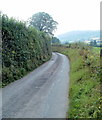 Country lane near Triley Mill