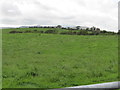 View south across grassland from the Lavallyreagh Road