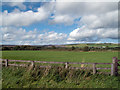 Fields north from West Roddymoor