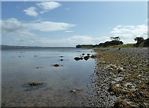 NX0463 : Shore of Loch Ryan by Andy Farrington