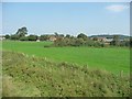 Mendip : Grassy Field