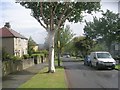 Wesley Grove - looking towards Cross Road