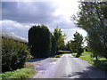 Road near to Shrubbery Farm