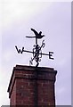 Pheasant weather vane