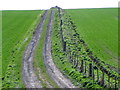 Farm track near Craster