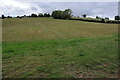 Field near Cockbury Butts