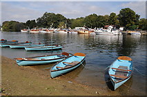 TQ1568 : Rowing boats on the Thames by Philip Halling