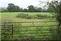 ST5046 : Field by Wetmoor Lane by Derek Harper