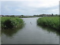 Radipole Lake Nature Reserve