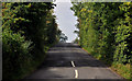 J1569 : The Lough Road near Glenavy by Albert Bridge
