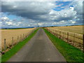 Farm road to Innergask