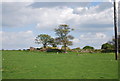 Ruined building, Icklesham