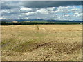 Stubble field at Findo Gask