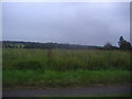 View from the A25, Limpsfield