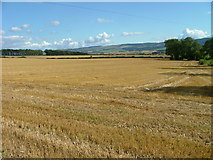 NN9618 : Stubble field at Trinity Gask by Dave Fergusson