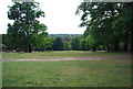 View out in Richmond Park