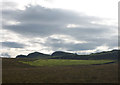 Rough grassland near Walltown