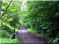 Lennoxtown, path to Milton of Campsie