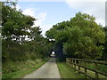 Tree-lined lane, Newton West