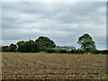 Ploughed and harrowed field