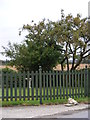 The Fence of Moat Farm