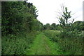 Footpath to Birling