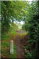 Allotment Path