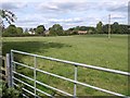 Pasture at Patney