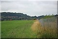 Footpath to Silverdale