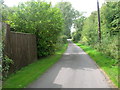 Lane towards Topham