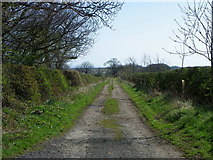 NT8965 : Track near Coldingham by Maigheach-gheal