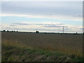 Farmland, Lockgate Farm