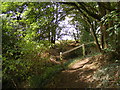 Footpath to the A1120 Hackney Road