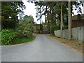 Looking from Bossington Lane into The Martin