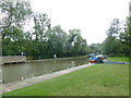 Cyclist on the towpath opposite the Wyvern Shipping Company