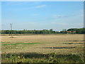 SE5510 : Farmland off the A19 by JThomas