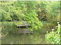 Village Pond, Plaistow